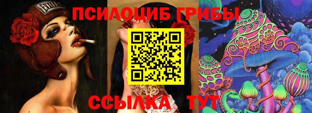 Галлюциногенные грибы Magic Shrooms  Галлюциногенные грибы GOLDEN TEACHER  Волжский  как найти закладки  Вход с VPN 